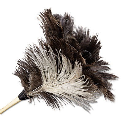 Economy Ostrich Feather Duster 13&quot; Overall Length, 7&quot; Wood