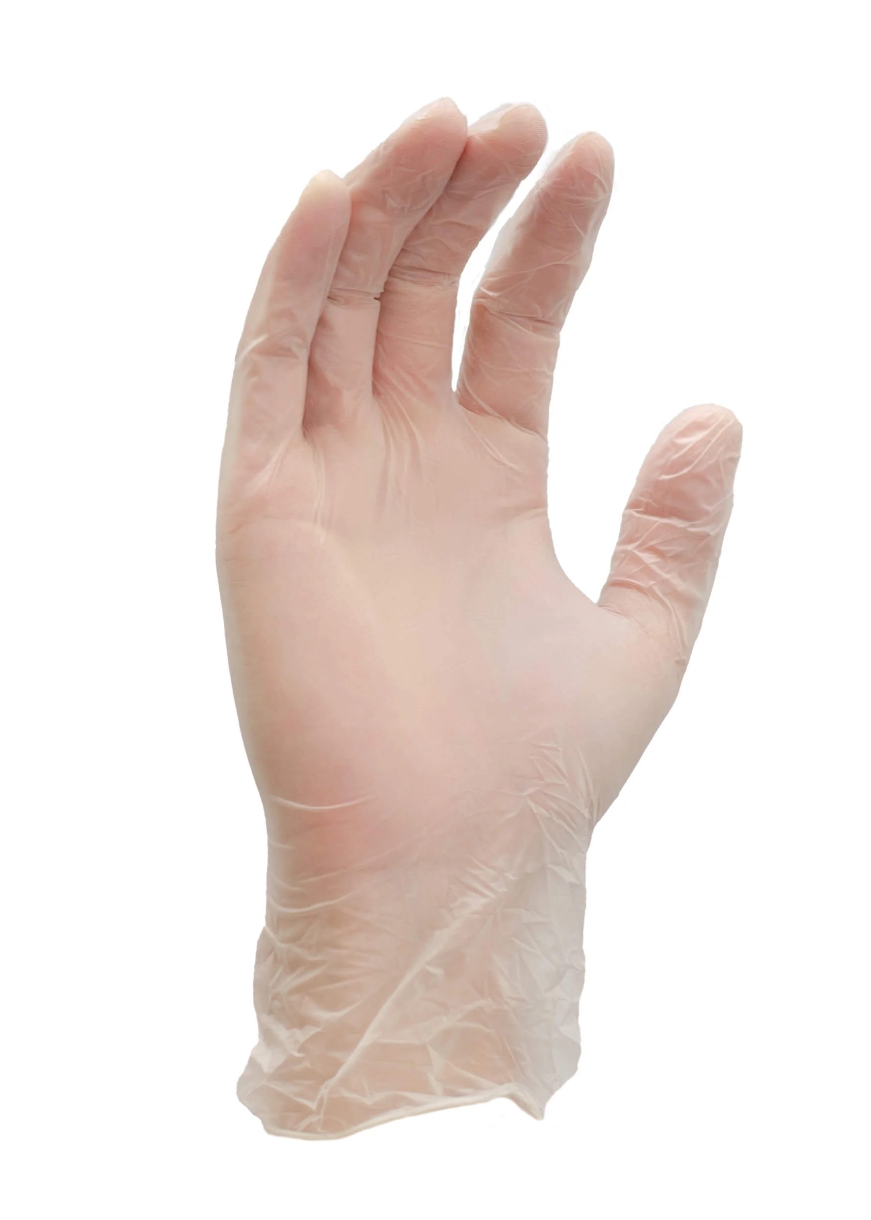 AMBITEX LARGE PF CLEAR VINYL  GLOVES 100/BX